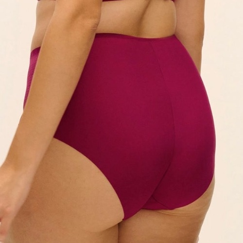 Fantasy Lingerie Evolution ruby high waist brief