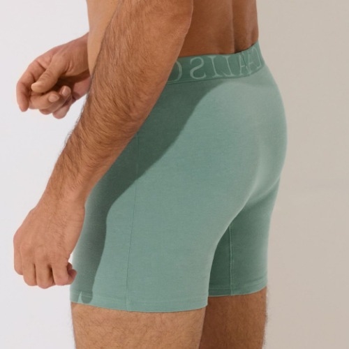 Lisca Heren Odysseus green boxer short