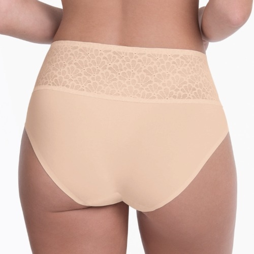 Anita Essential smart rose high waist brief