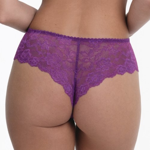 Rosa Faia Bobette magic purple short