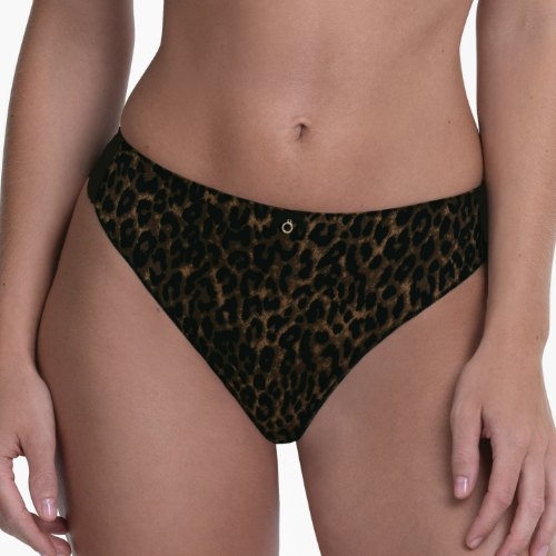 Rosa Faia Charlize gold cat short