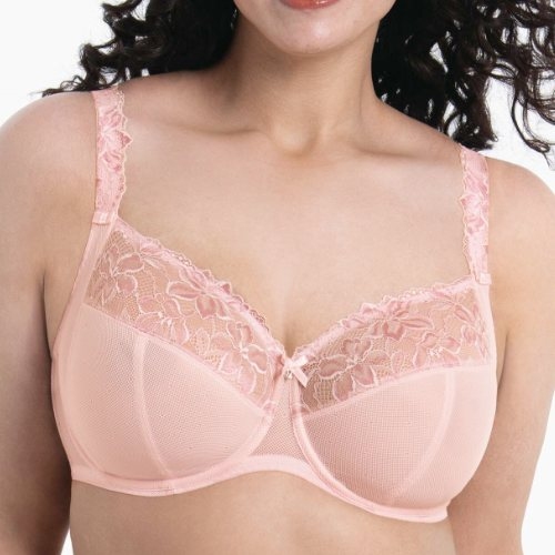 Rosa Faia Suzette wild rose padded bra