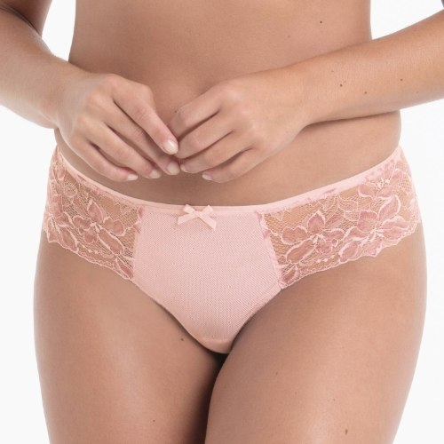 Rosa Faia Suzette wild rose short