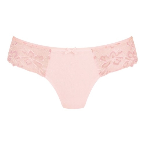 Rosa Faia Suzette wild rose short