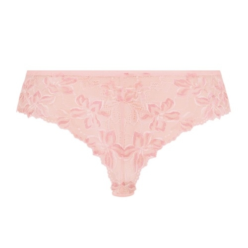 Rosa Faia Suzette wild rose short