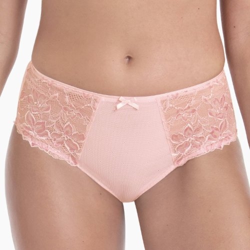 Rosa Faia Suzette wild rose brief