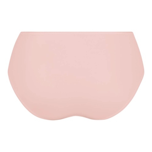 Rosa Faia Suzette wild rose brief