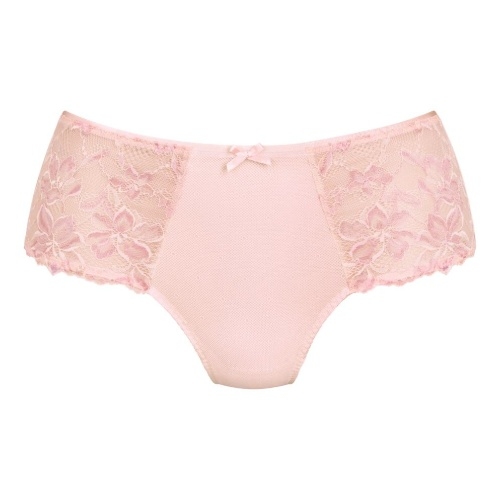 Rosa Faia Suzette wild rose brief