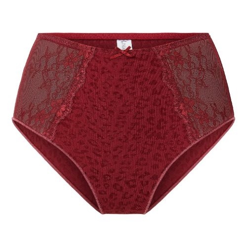 LingaDore Daily Maxi Slip ruby brief