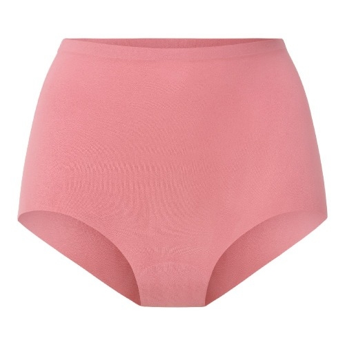 LingaDore Daily Basic dusty rose high waist brief