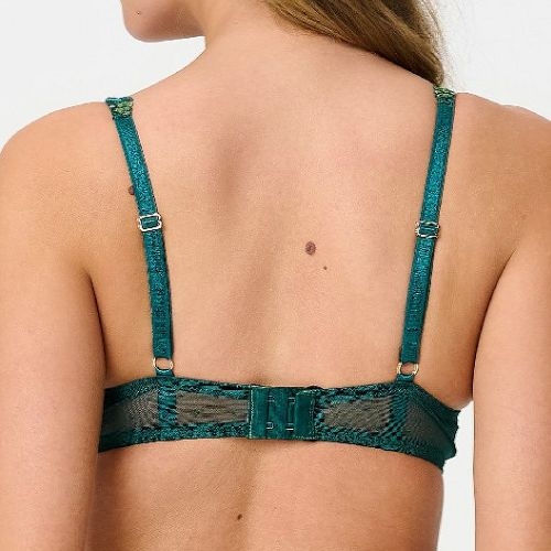 LingaDore Pine Green Lace pine green padded bra