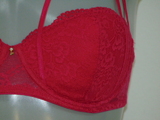 Super Sexy by Sapph sample Eline raspberry padded bra