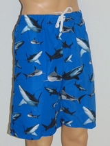 Shiwi Men Shark blue/print swimshort