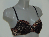 Sapph La Fayette black/brown padded bra