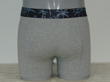 Shiwi Men Palm grey boxershort