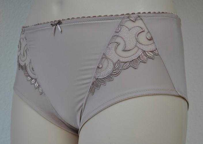 Felina Rhapsody mole grey brief Felina Rhapsody mole grey brief