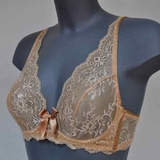 Eva In the Mood for Lace skin soft-cup bra