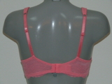 Elbrina Embroid pink padded bra
