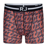RJ Bodywear Men Pure Color  auberinge micro boxershort