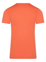 RJ Bodywear Men Pure Color  coral shirt