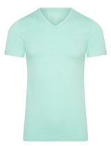 RJ Bodywear Men Pure Color  mint shirt