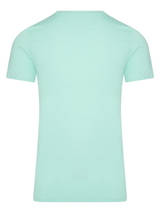 RJ Bodywear Men Pure Color  mint shirt