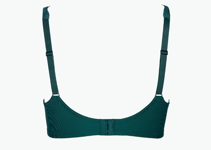 After Eden D-Cup & Up Fauve green padded bra After Eden D-Cup & Up Fauve green padded bra