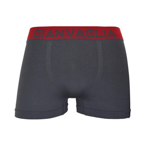 Gianvaglia Loyd grey micro boxershort