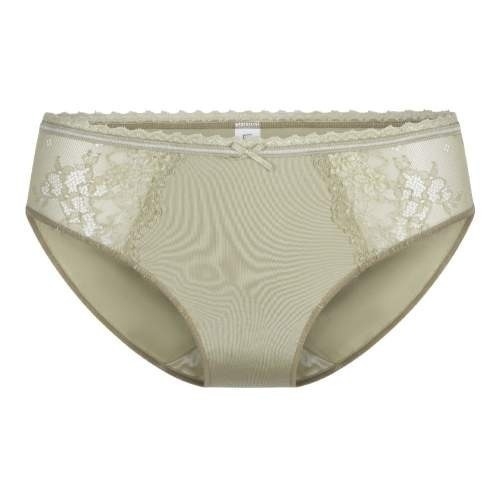 LingaDore Daily Basic  brief LingaDore Daily Basic  brief
