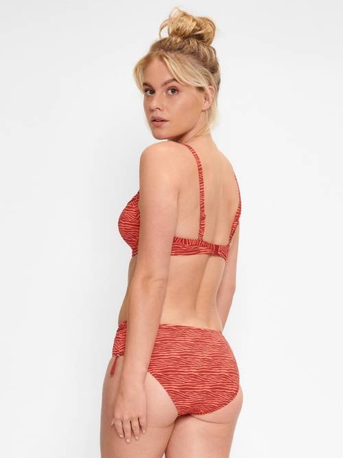 LingaDore Beach Bright Zebra animal print padded bikini bra LingaDore Beach Bright Zebra animal print padded bikini bra