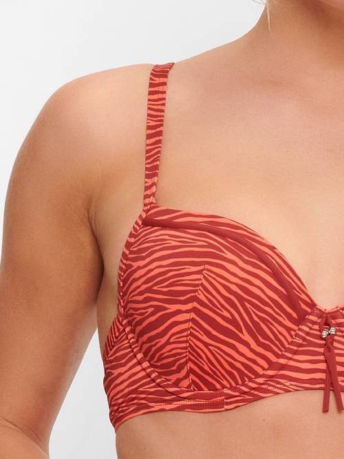 LingaDore Beach Bright Zebra animal print padded bikini bra LingaDore Beach Bright Zebra animal print padded bikini bra