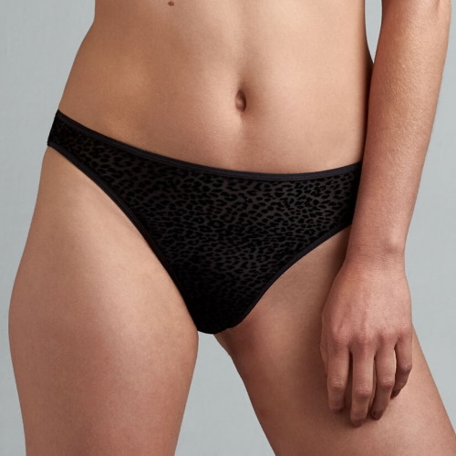 Marlies Dekkers Feline Jazz black brief Marlies Dekkers Feline Jazz black brief