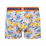 Gianvaglia Lemons yellow/print boxershort