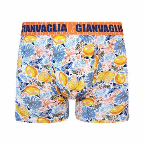 Gianvaglia Lemons yellow/print boxershort