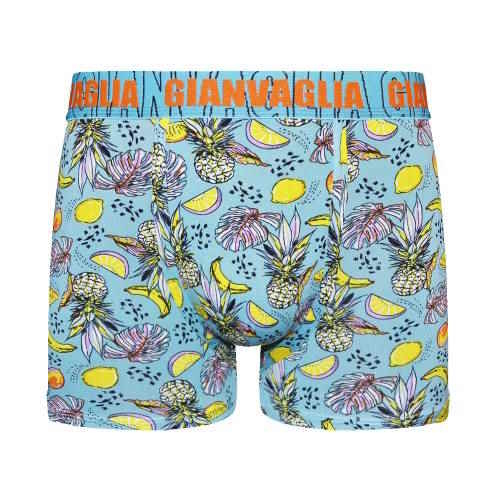 Gianvaglia Pineapple blue/print boxershort