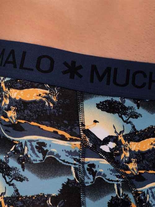 Muchachomalo Lion blue/print boxer short Muchachomalo Lion blue/print boxer short