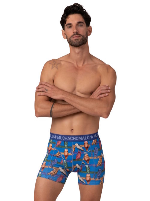 Muchachomalo Owl cobalt boxer short Muchachomalo Owl cobalt boxer short