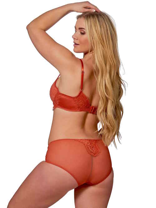 After Eden D-Cup & Up Tessa  high waist brief After Eden D-Cup & Up Tessa  high waist brief