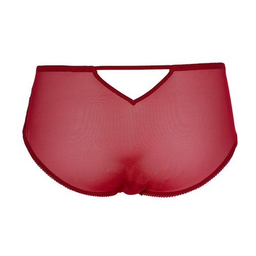 After Eden D-Cup & Up Tender dark red brief After Eden D-Cup & Up Tender dark red brief
