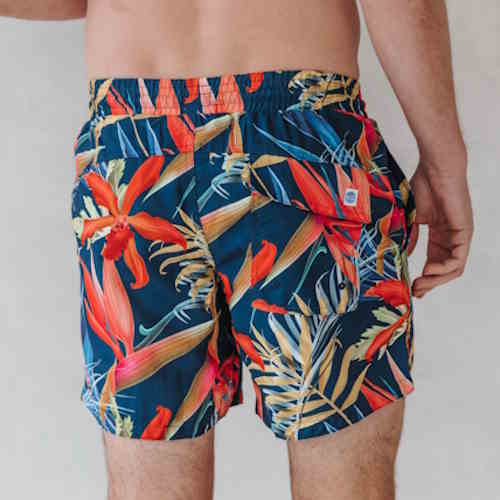 Bomain Jungle Print multicolor/print swimshort Bomain Jungle Print multicolor/print swimshort