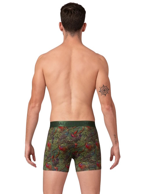 Muchachomalo BirdTree green/print modal boxershort Muchachomalo BirdTree green/print modal boxershort