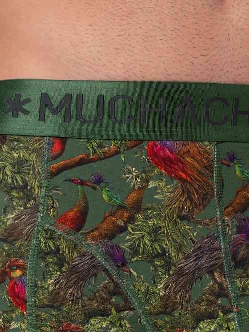 Muchachomalo BirdTree green/print modal boxershort Muchachomalo BirdTree green/print modal boxershort