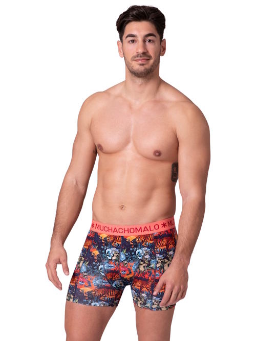 Muchachomalo Birdcat multicolor/print cotton boxer short Muchachomalo Birdcat multicolor/print cotton boxer short