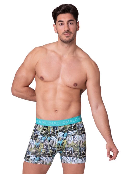 Muchachomalo Captain Donkey multicolor/print cotton boxer short Muchachomalo Captain Donkey multicolor/print cotton boxer short