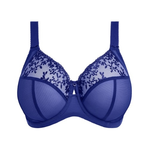 Elomi Zarla blue padded bra Elomi Zarla blue padded bra